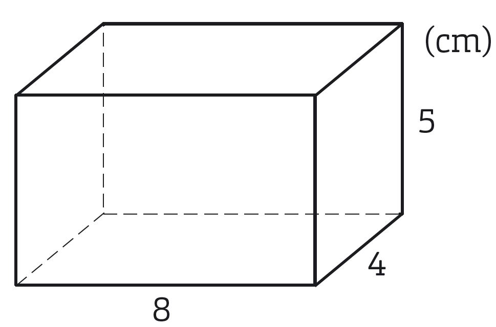ratblock_laxa10_1.JPG
