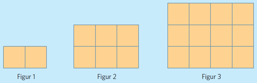 andra_typer_av_my_nster_exempel_1.PNG