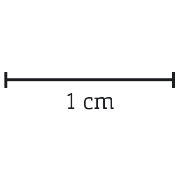 Streck.PNG